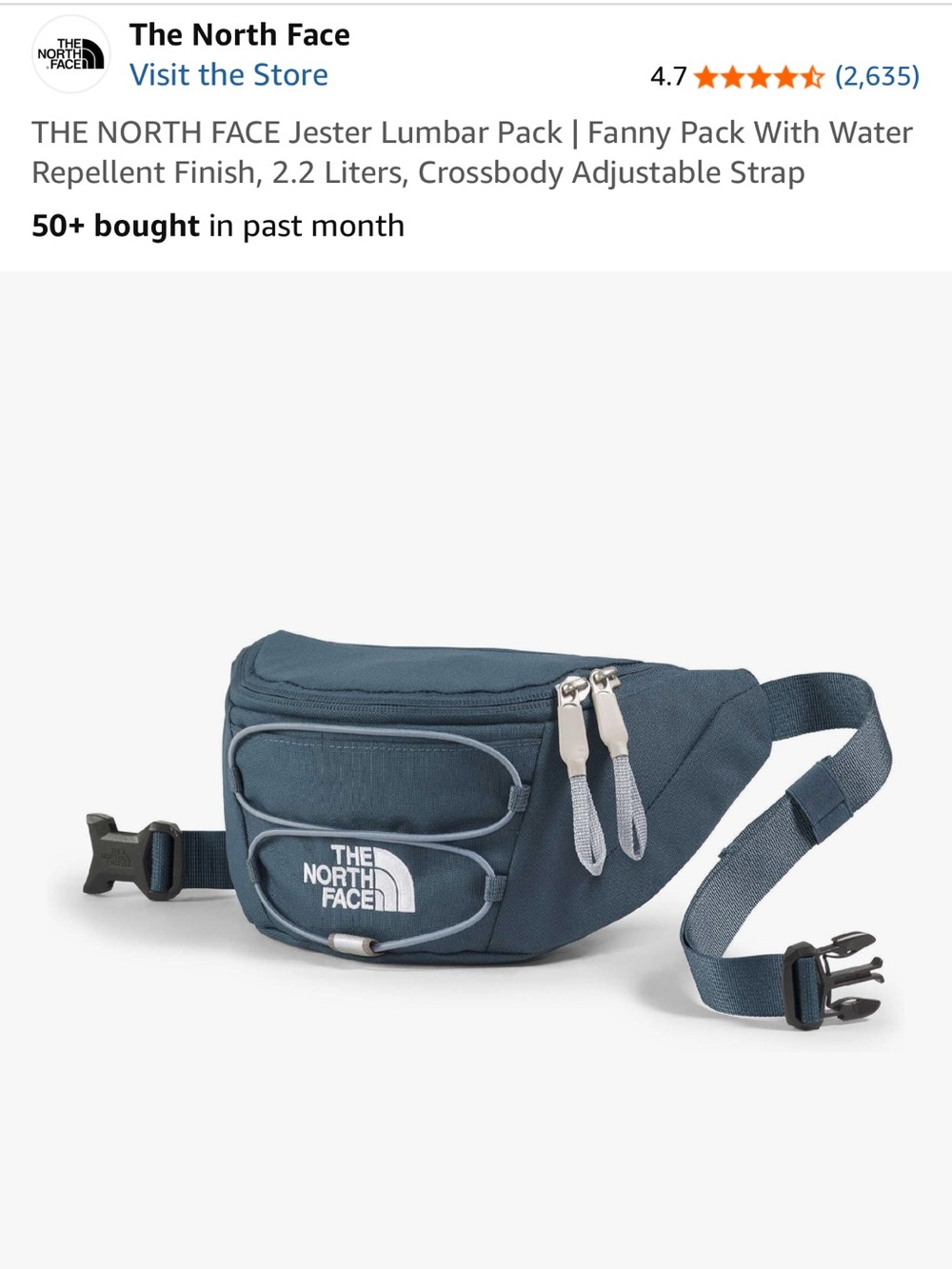 The North Face Slate Blue Jester Lumbar Pack